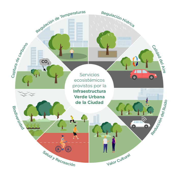 Verde Urbano